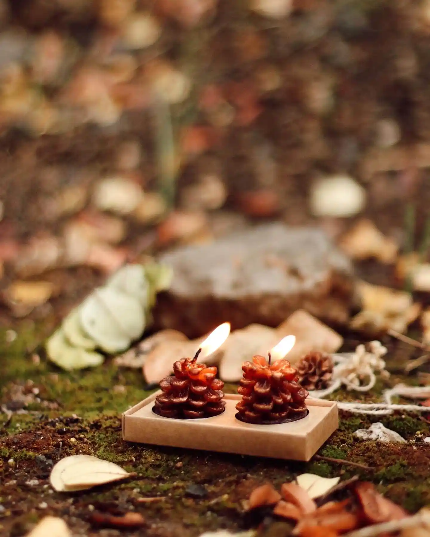 Tilayt Mumlar: Dekorasyonda Zarafet ve Atmosfer Yaratmanın En Güçlü Yolu