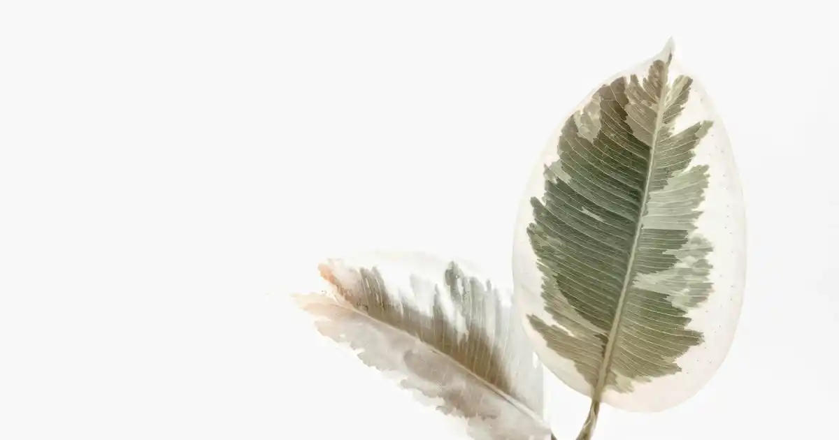 Toka Organizerleriyle Hem Fonksiyonel Hem Şık Dekorasyon Çözümleri