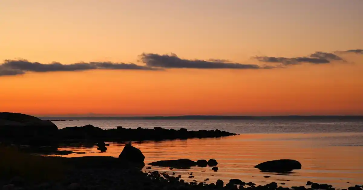 Top Ayak Orta Sehpa Seçiminde Dikkat Edilmesi Gerekenler ve Dekorasyon İpuçları