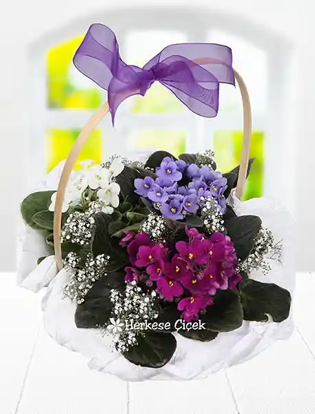 Trabzon Çiçek Sepetleri ile Modern ve Doğal Dekorasyon Çözümleri