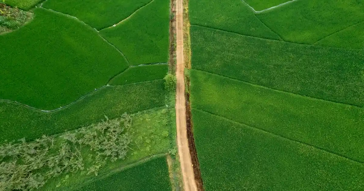 Tul Perde Modelleri ve Fiyatları: Dekorasyonda Zarif ve Pratik Çözümler