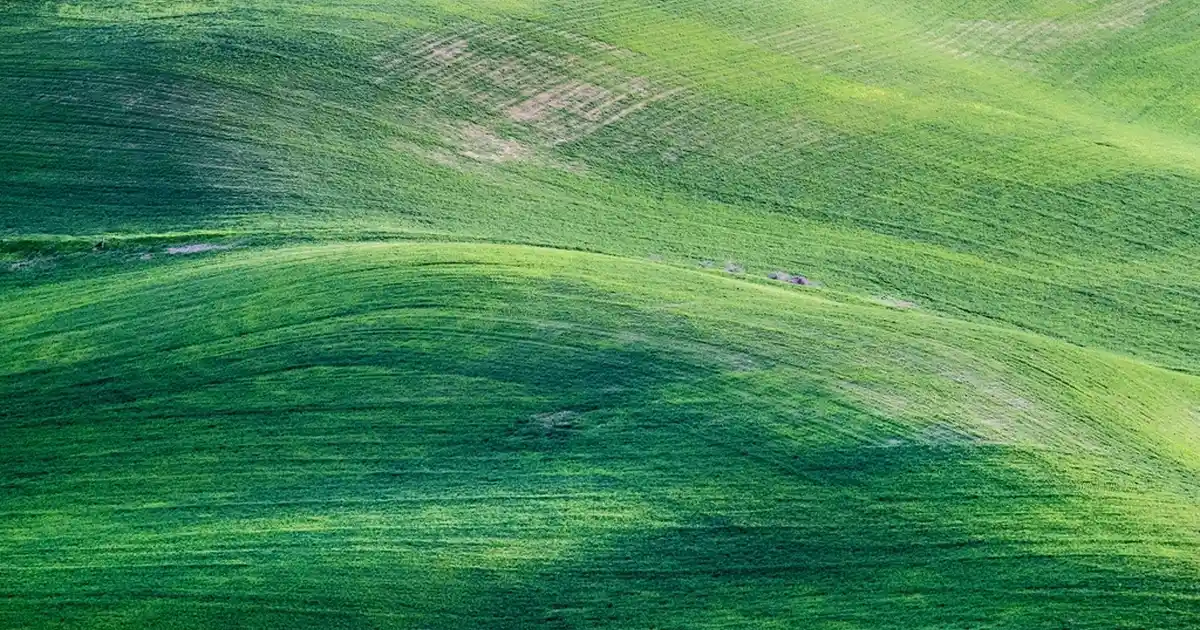 Tül Yatak Örtüsü ile Yatak Odasında Zarafet ve Fonksiyonellik Sağlama Rehberi