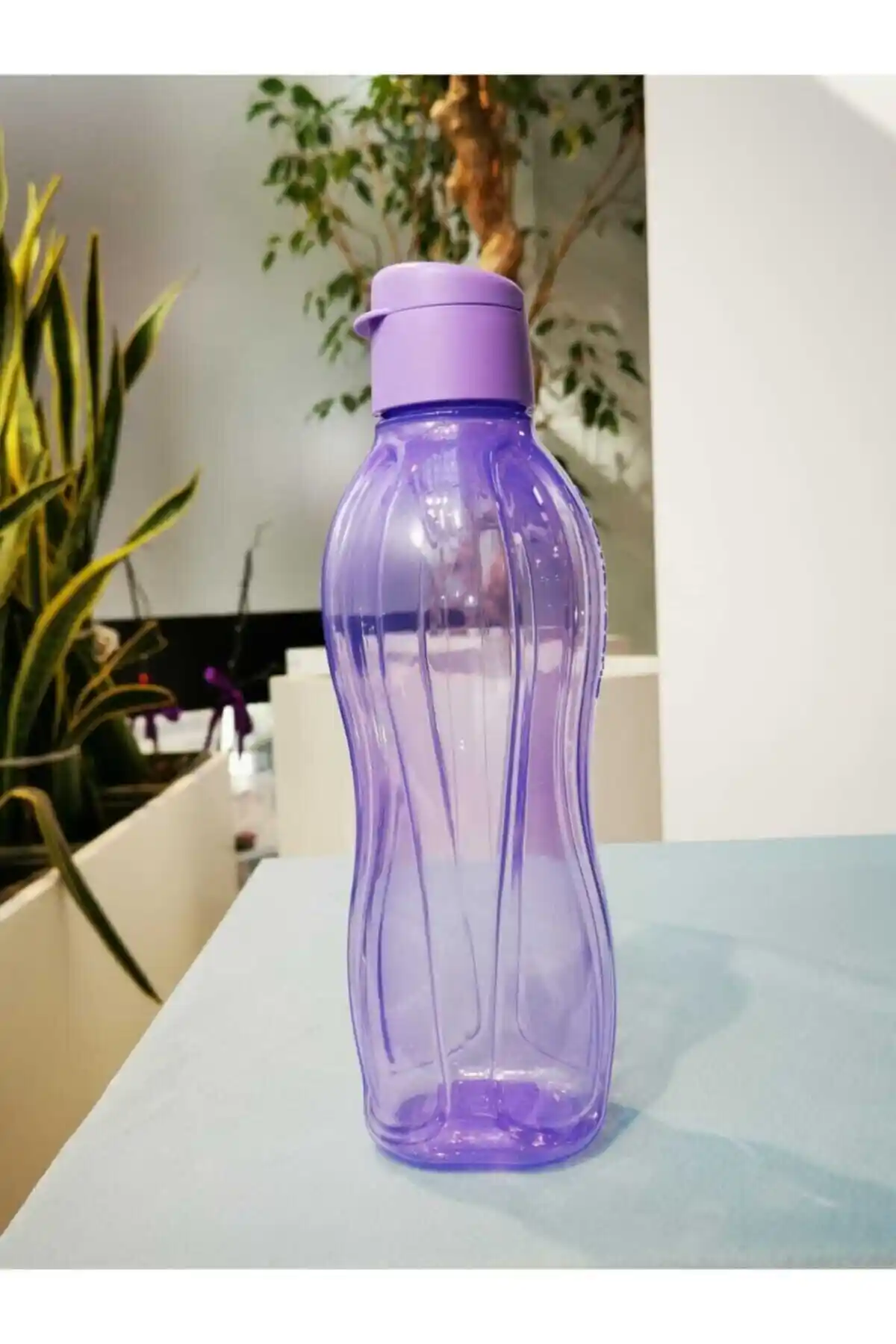 Tupperware Sulukların Estetik ve Fonksiyonel Kullanımı: Dekorasyon ve Günlük Hayatta Avantajlar