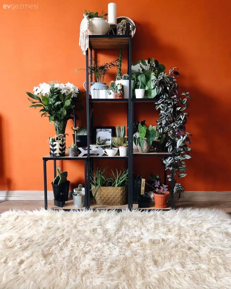 Turuncu Duvar Dekorasyonu ile Evinize Sıcaklık ve Canlılık Katın