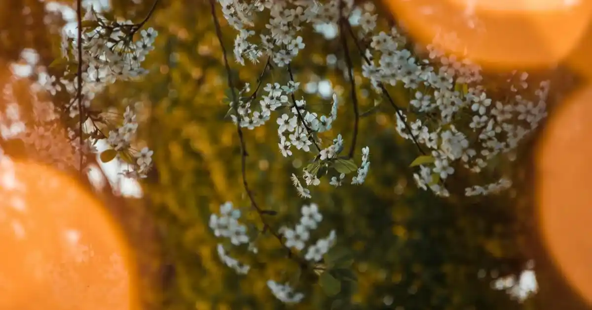 Turuncu Masa Lambasıyla Dekorasyonunuzu Canlandırmanın En İyi Yolları