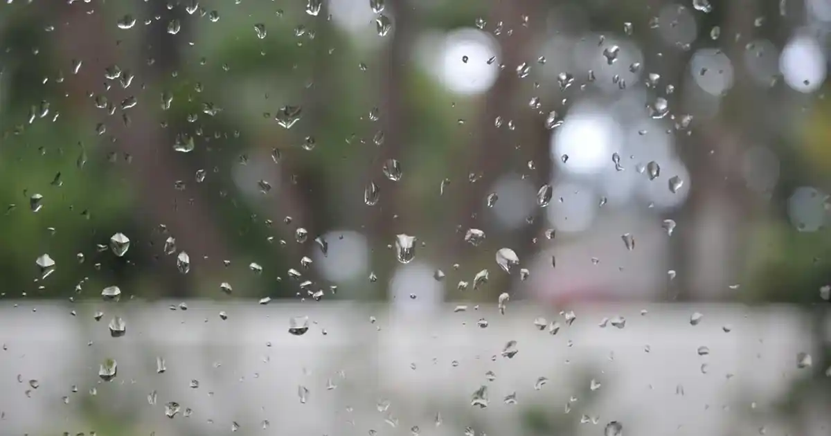 Tuzluk ve Peçetelik Setleriyle Masa Dekorasyonunuza Şıklık Katın ve Uyum Sağlayın