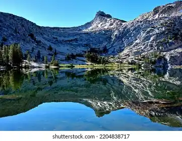 Unicorn Pike Dekorasyonu: Mekanlara Masalsı ve Özgün Dokunuşlar