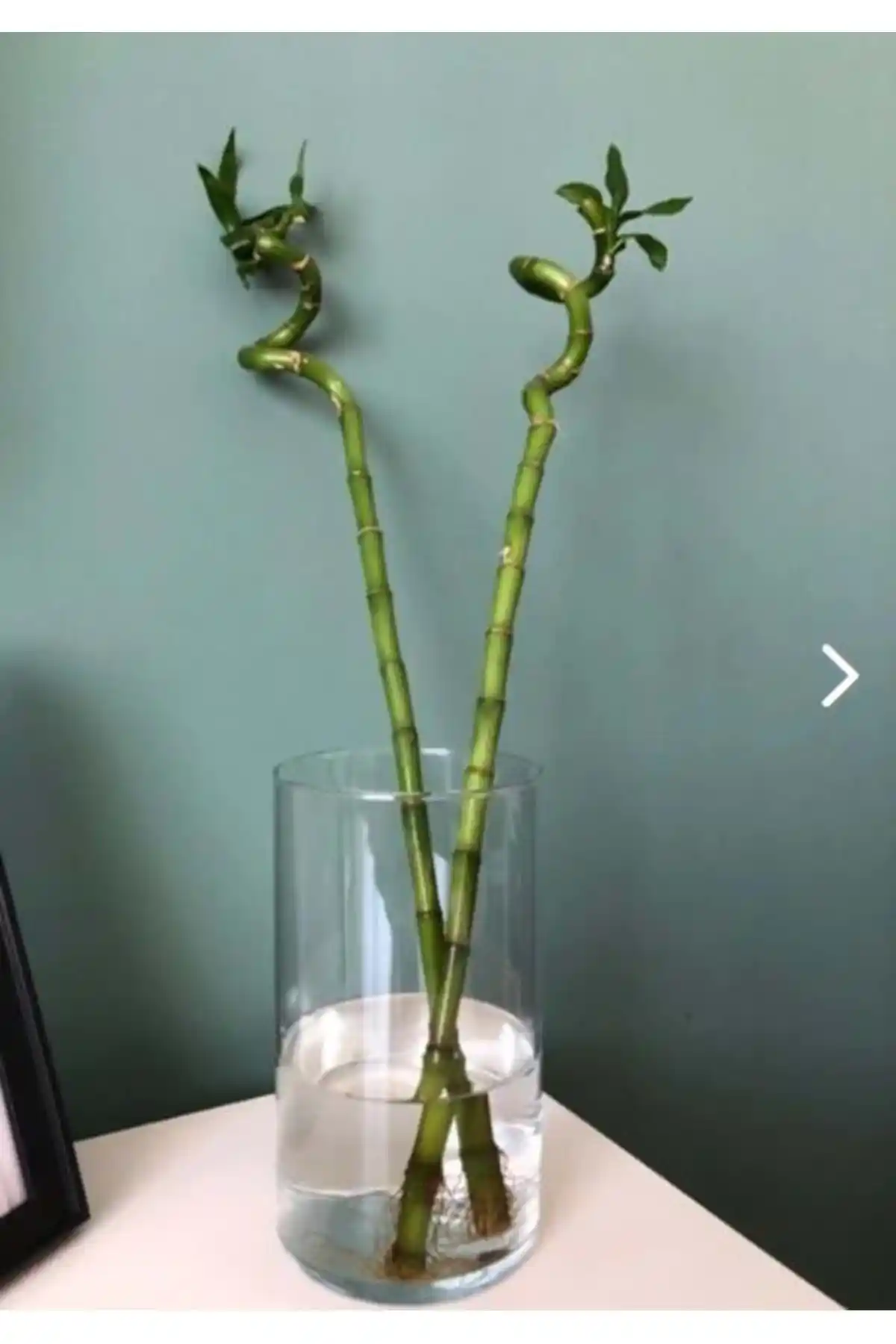 Uzun Bambu Vazoları ile Doğal ve Şık Mekân Dekorasyonu Rehberi