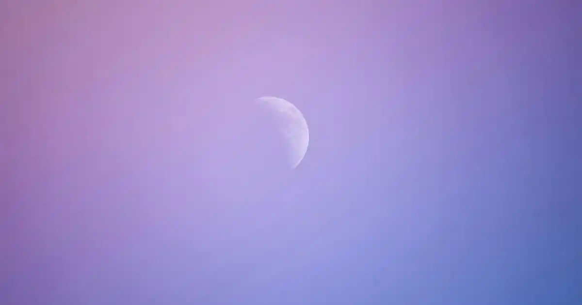 Vanessa Koltuk Modelleriyle Modern ve Konforlu Dekorasyon Çözümleri