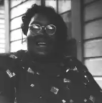 Vera Hali Dekorasyonuyla Modern ve Doğal Yaşam Alanları Yaratma Rehberi