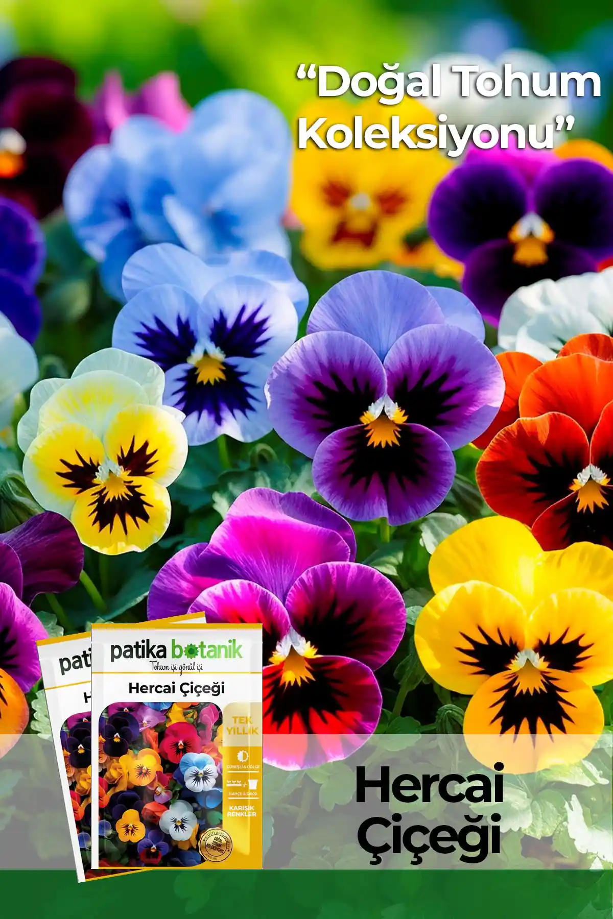 Viola Çiçeği ile Dekorasyonda Zarafet ve Doğallık Yaratmanın Yolları