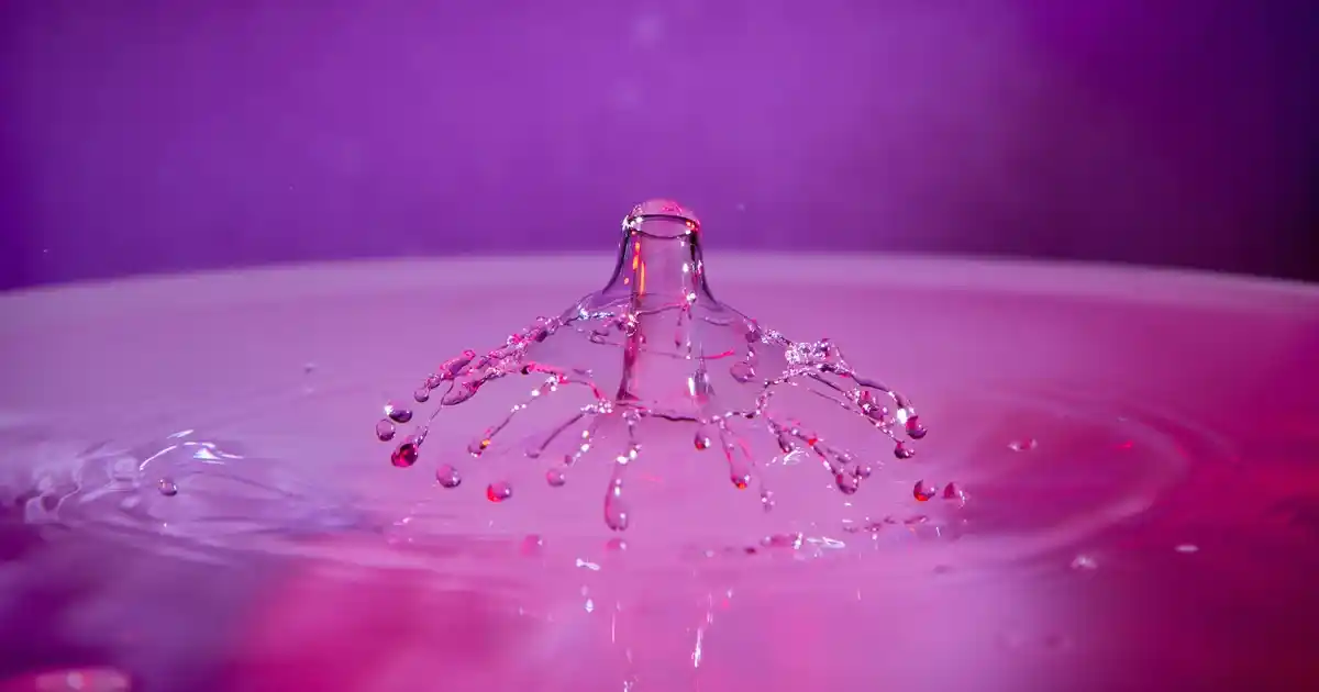 Waffle Tabağı ile Modern ve Şık Dekorasyon Fikirleri ve Kullanım Alanları