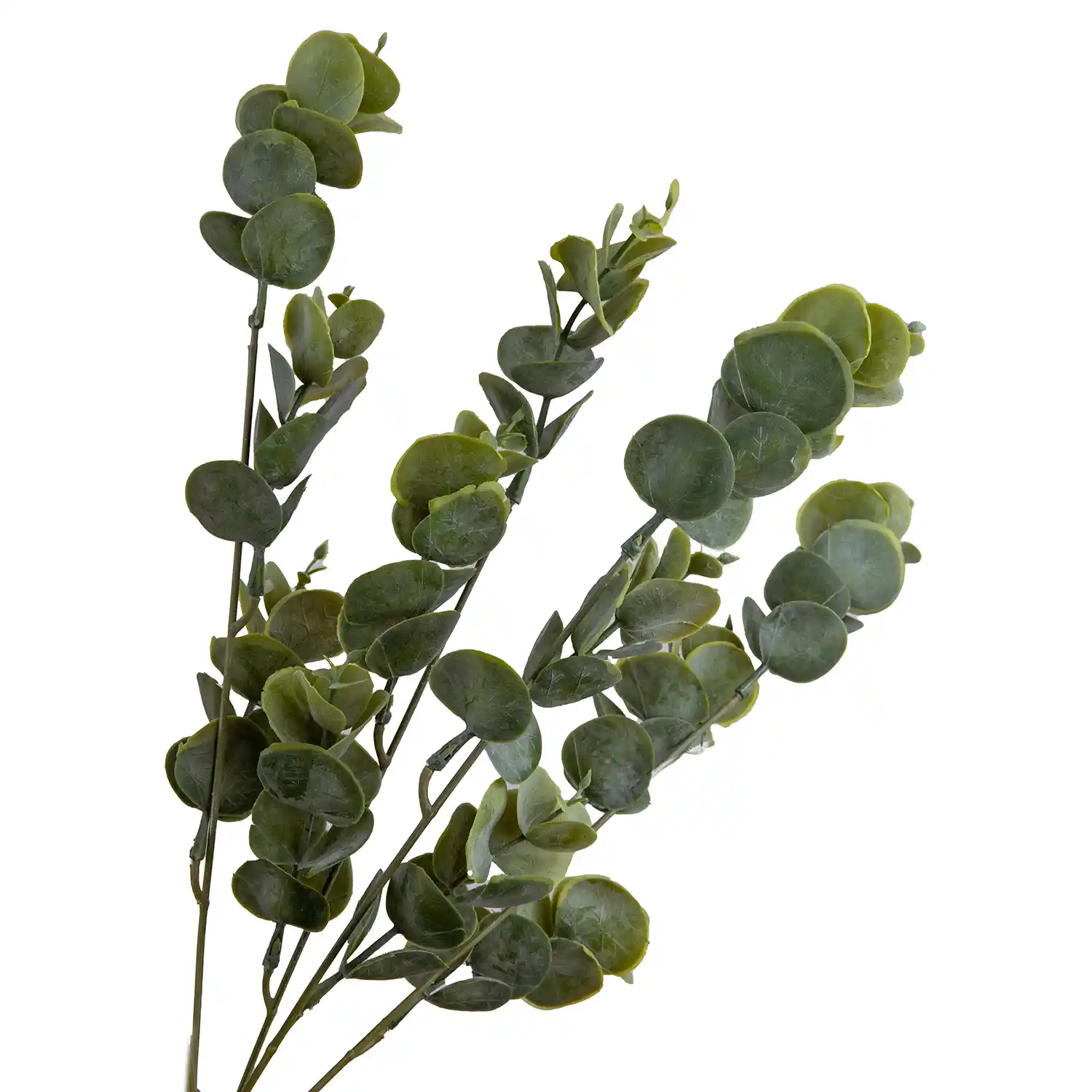 Yapay Okaliptus Demeti ile Modern ve Şık Dekorasyon Fikirleri ve Avantajları