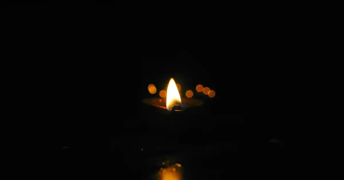 Yaprak Aksesuarları ile Doğal ve Şık Dekorasyon Fikirleri ve Kullanım İpuçları