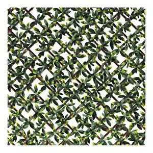 Yaprak Çit ile Doğal ve Sürdürülebilir Dekorasyon Çözümleri