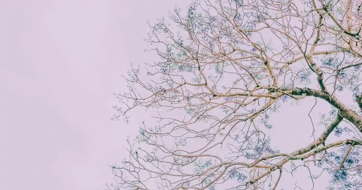 Yataş King Size Nevresim Takımlarıyla Yatak Odası Dekorasyonunu Geliştirin