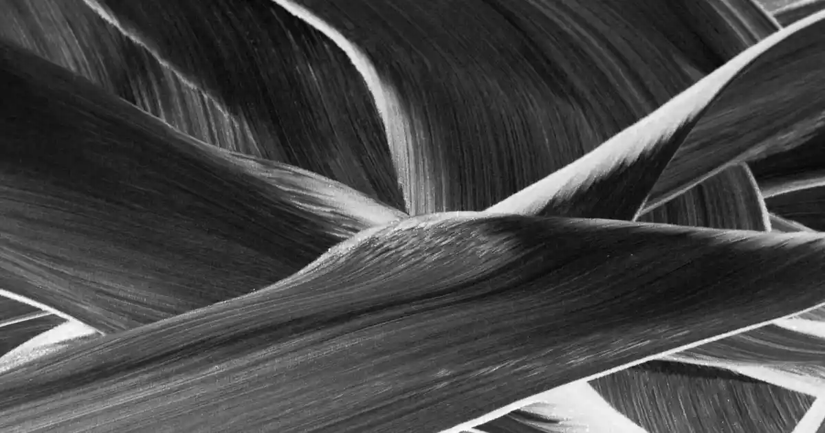 Yemek Masası Duvar Dekorasyonu İpuçları ve Modern Tasarım Fikirleri