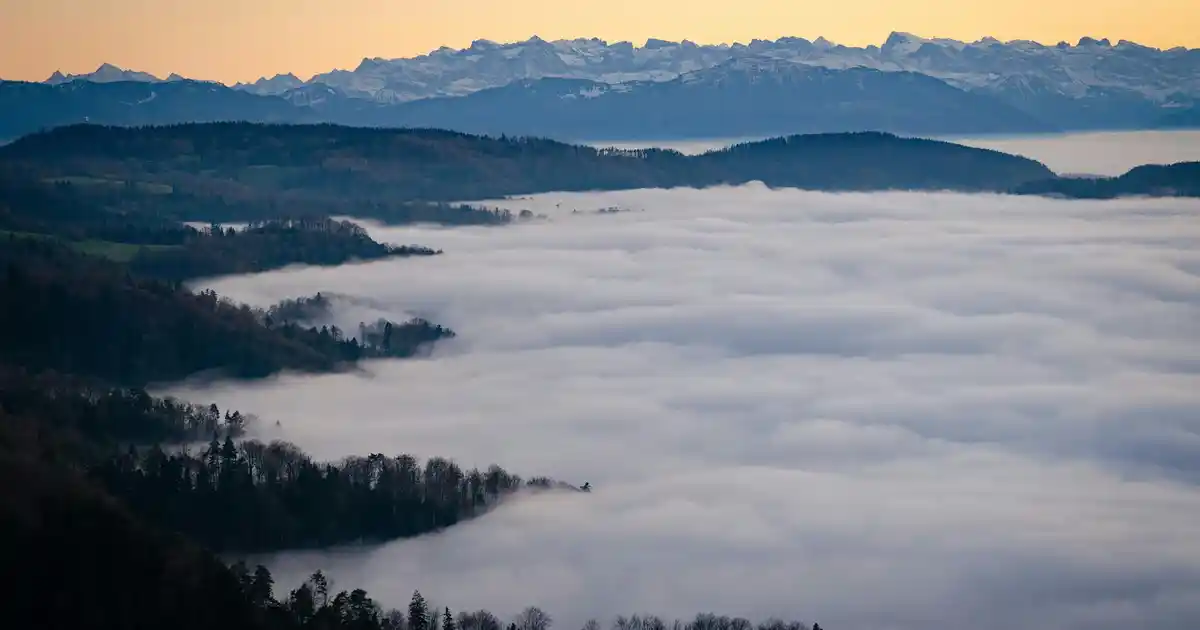 Yemek Masası İçin En Şık ve Kullanışlı Masa Örtüsü Modelleri ve Dekorasyon Tüyoları