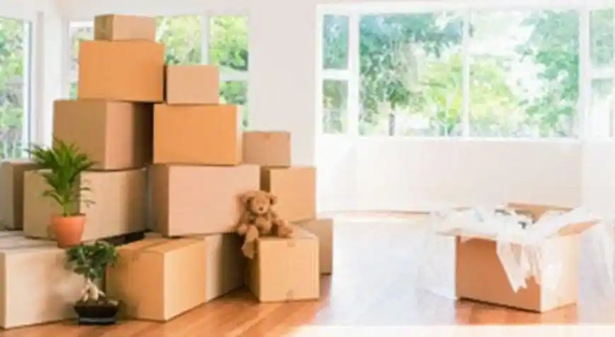 Yeni Eve Alınacak Hediyeler ve Dekorasyon İpuçlarıyla Mekânınızı Şık ve Fonksiyonel Hale Getirin