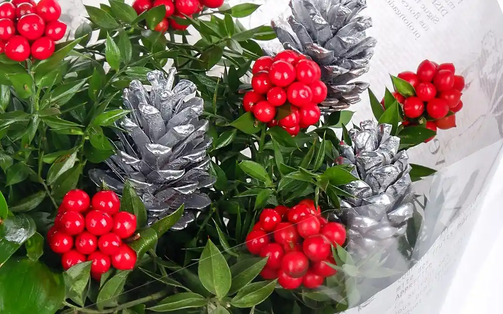 Yılbaşı Dekorasyonunda Yılbaşı Bitkileri ve Sembolik Anlamları