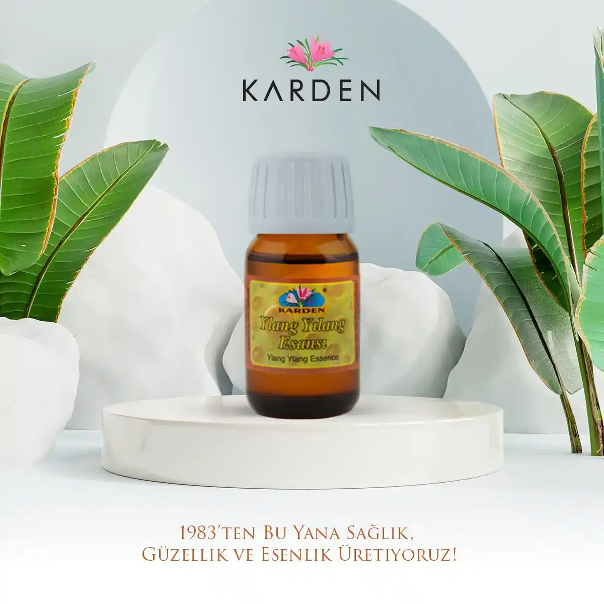 Ylang Ylang Esansı ile Dekorasyonda Doğal ve Zarif Atmosfer Yaratma Rehberi