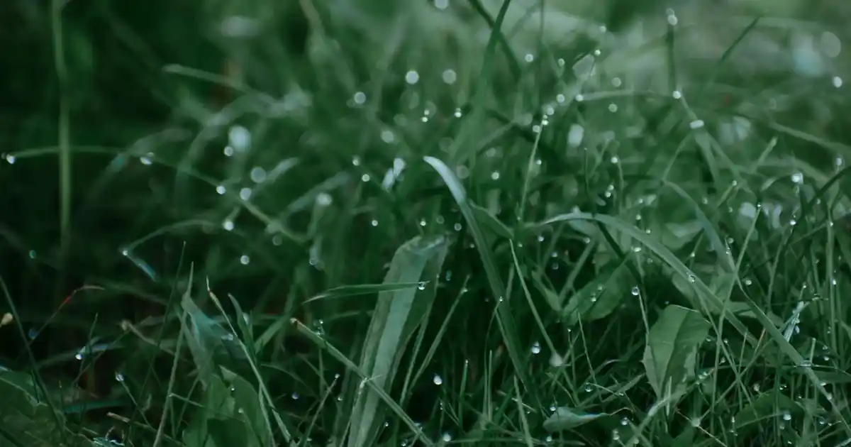 Yorgan Dekorasyonunda Konfor ve Estetiğin Uyumuyla Şık ve Fonksiyonel Alanlar Yaratın