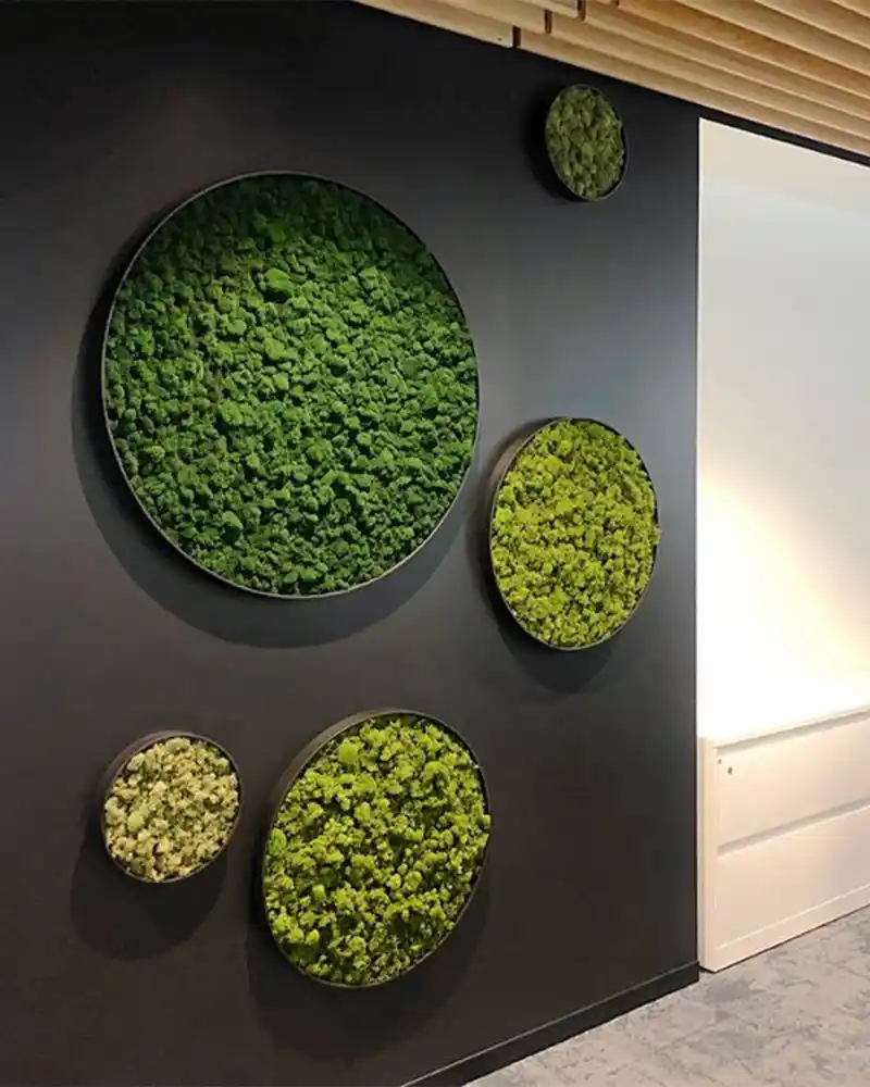 Yosun Tablolar ile Modern ve Doğal Dekorasyon Çözümleri İçin Rehber