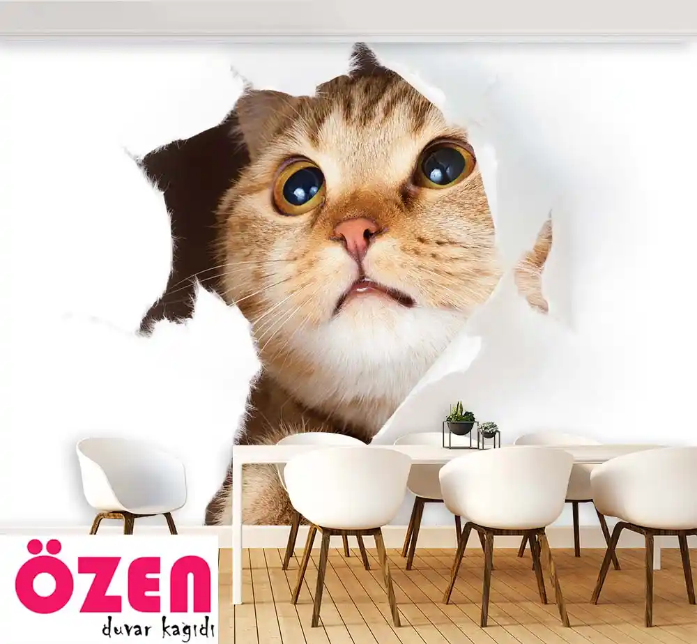 Yumuşak Kedi Duvar Kağıdı ile Ev Dekorasyonunuza Sıcaklık ve Şıklık Katın