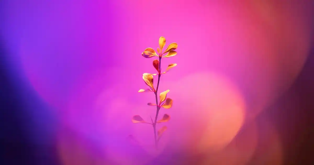 Yuvarlak Ahşap Çerçeve Dekorasyonuyla Mekânlara Sıcaklık ve Şıklık Katın