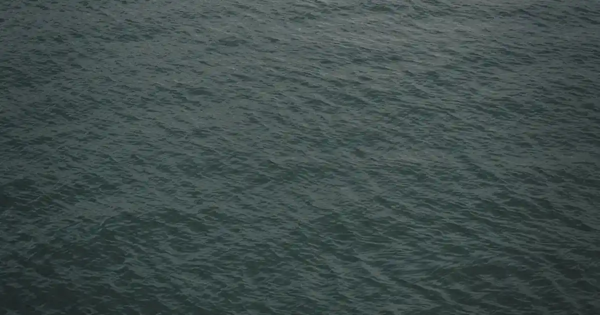 Zambak (Lilium): Dekorasyonda Zariflik ve Anlam Katmanın Yolları