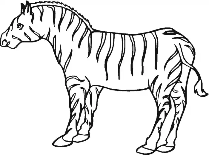 Zebra Deseni ile Dekorasyonda Şıklık ve Doğallık Yaratmanın Yolları