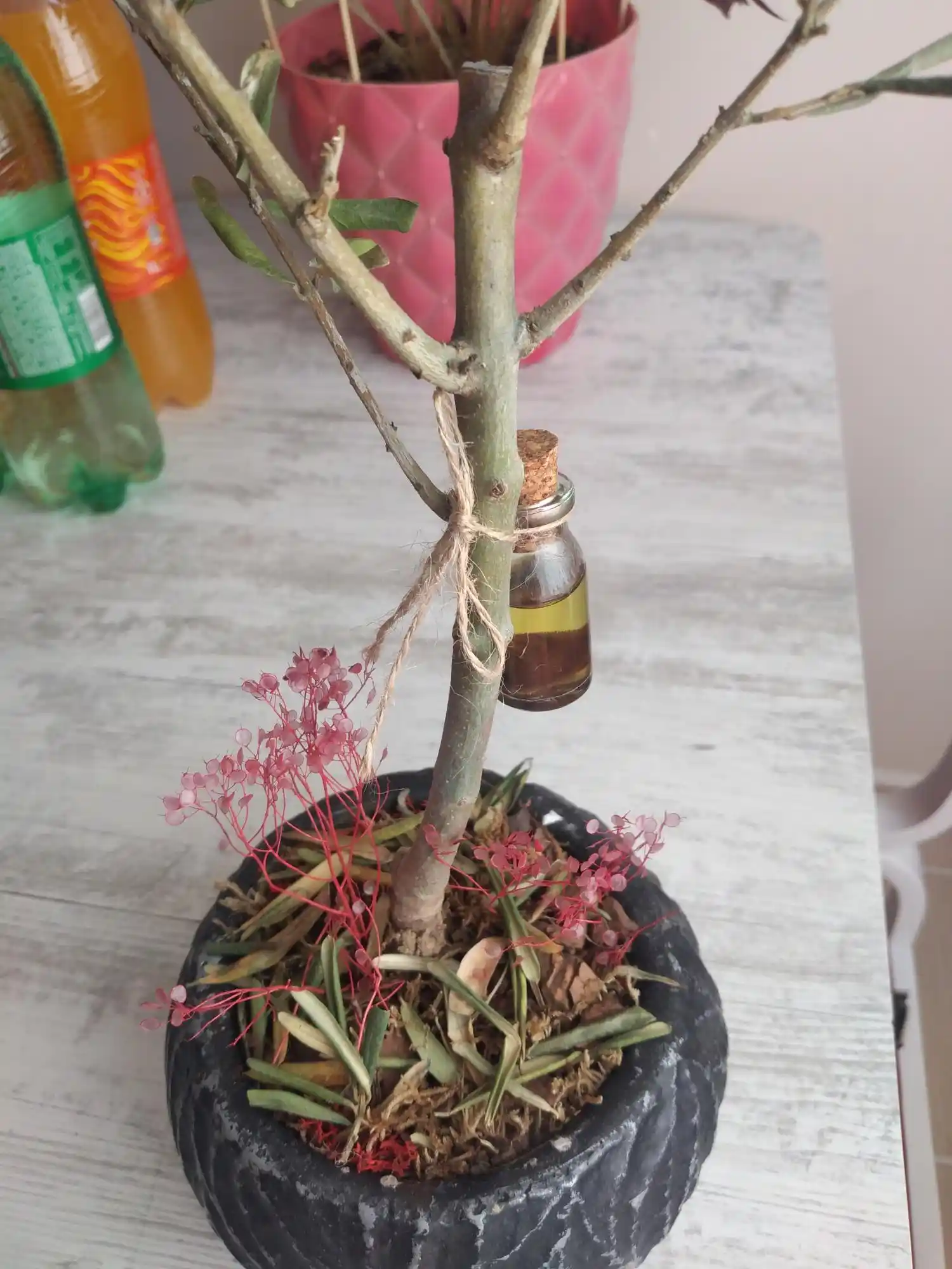 Zeytin Ağacı ile Dekorasyon Trendleri ve Fırsatları Çiçek Sepeti Üzerinden