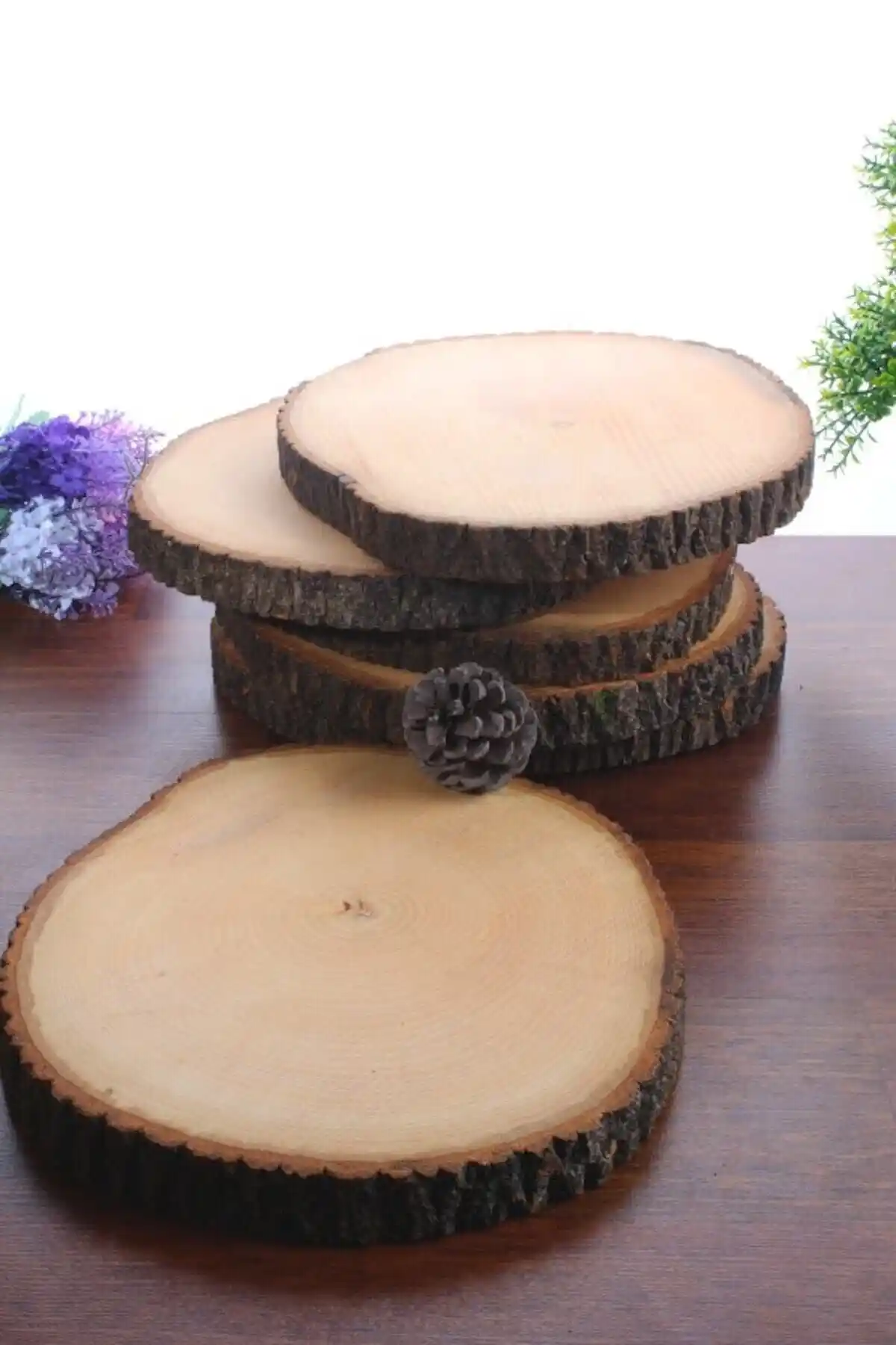 Mercan Marka 6'lı Kütük Çay Tabağı Seti Doğal Ahşap Tasarımı ve Fonksiyonelliği