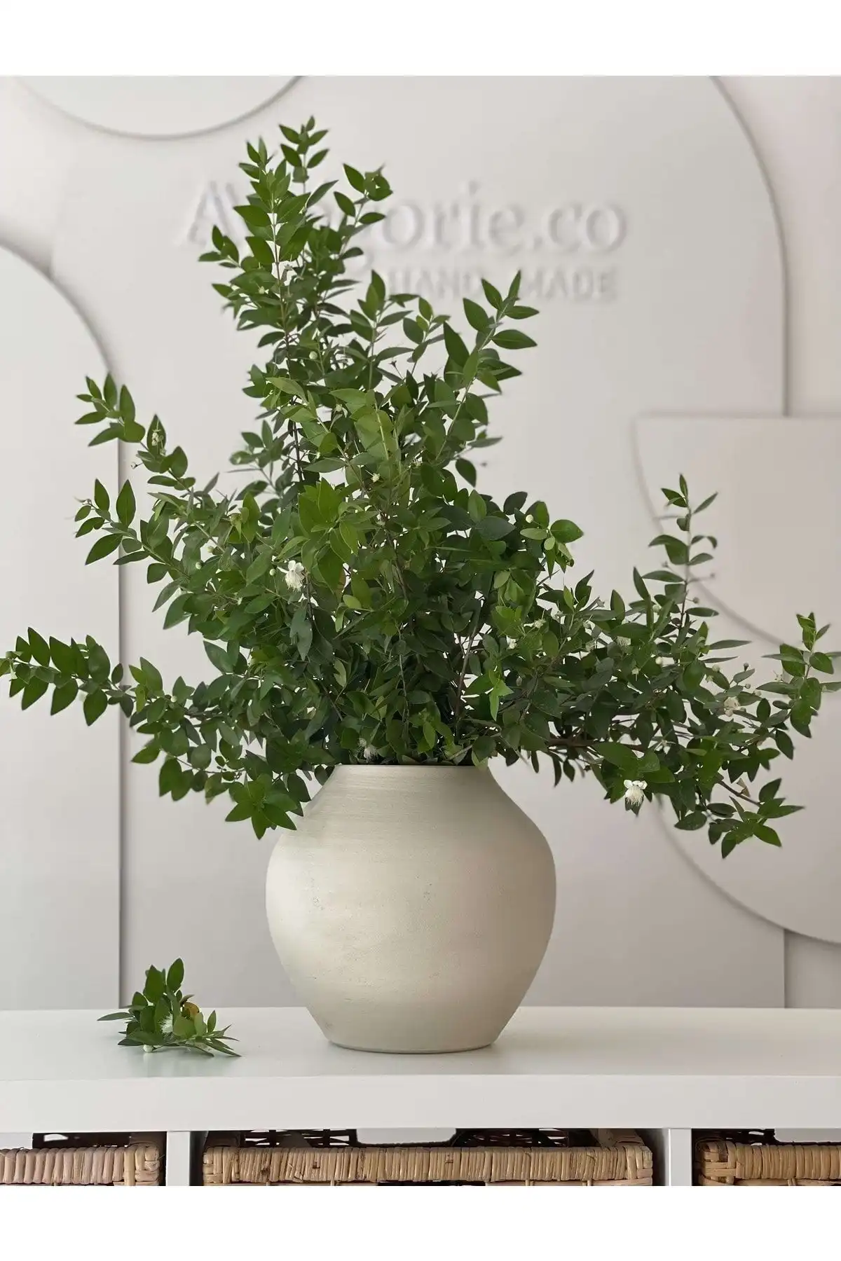 Allegorie.Co Loreen Dokulu Vazo ile Minimalist Şıklığı Evinize Taşıyın