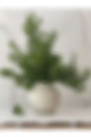 Allegorie.Co Loreen Dokulu Vazo ile Minimalist Şıklığı Evinize Taşıyın