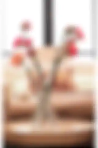 Çapraz Cam Vazo ile Modern ve Estetik Dekorasyon Seçenekleri