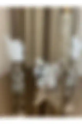 Housess Dekoratif 2'li Gümüş Kelebek ve 2 Adet 2 Katlı Gümüş Tüylük Biblo Süs İncelemesi