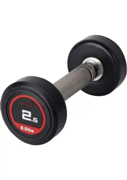 313 Spor 2,5 kg Olimpik Dambıl Kauçuk Kaplı Dayanıklı ve Ergonomik Spor Ekipmanı