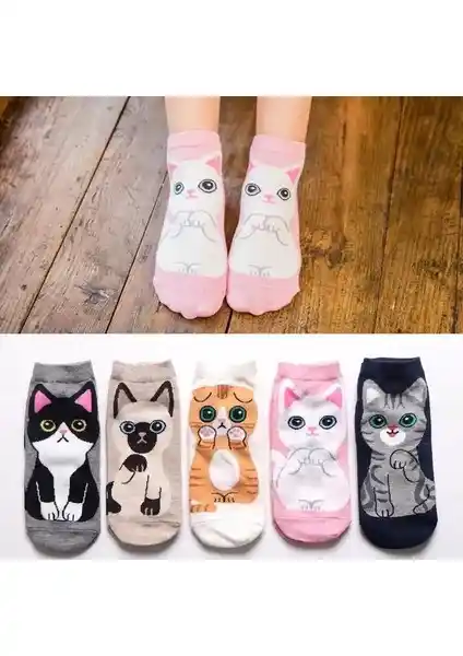 Çorap Kurdu 5'li Kedi Desenli Pamuklu Patik Çoraplar Yüksek Konfor ve Şıklık Sağlar