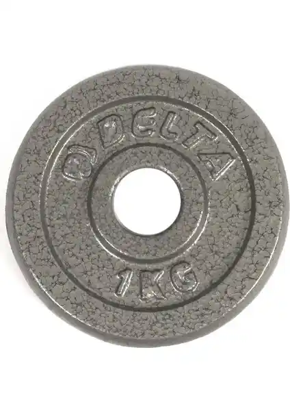 Delta Gri Döküm Plaka Çiftli 1 KG, Dayanıklı ve Estetik Spor Ağırlık Ürünü