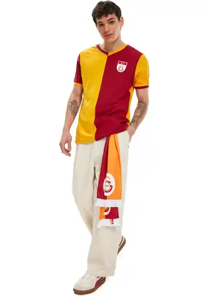 Galatasaray Metin Oktay Lisanslı Erkek T-Shirtleri Spor ve Şıklık Bir Arada