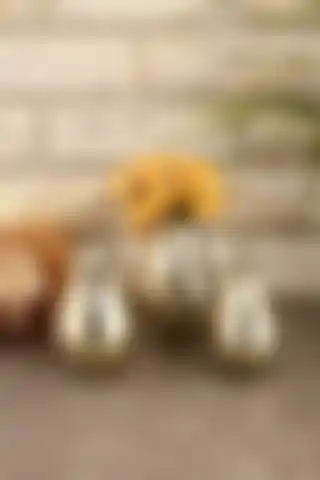 ANGDESİGN Lale Seramik Biblo 3'lü Set: Şıklık ve Kullanışlılığın Bir Araya Geldiği Ürün