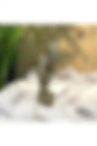 Kaktüsbutik'ten Estetik ve Fonksiyonel Dekoratif Sarılan Çift Bağlılık Heykeli