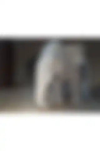 MilenyumStudios Detaylı Fil Dekoru ile Modern Ev Dekorasyonu İçin Şık Çözümler