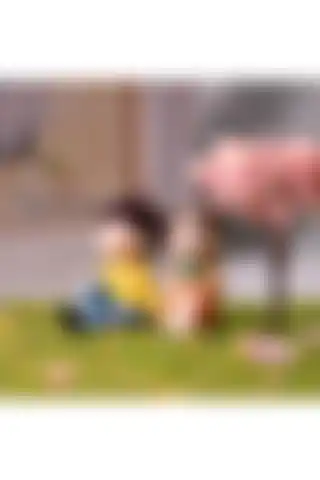 YoyoMoyo Minyatür Şirin Çiftler: Şık ve Fonksiyonel Dekoratif Aksesuarlar