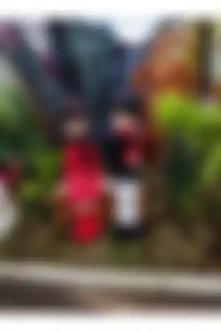 Himi Teraryum Objeleri ile Evinizi Şık ve Sıcak Bir Atmosfere Kavuşturun