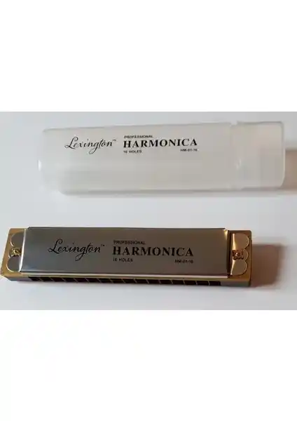 Cremonia Hm0116 ve Midex HN-10SL Mızıka Modellerinin Karşılaştırması