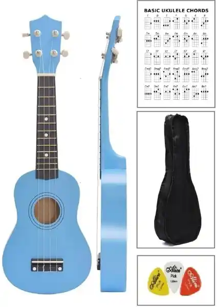 Müzikhane Soprano Ukulele ve Midex UKX-500BL Karşılaştırması: Hangi Ukulele Daha Uygun?