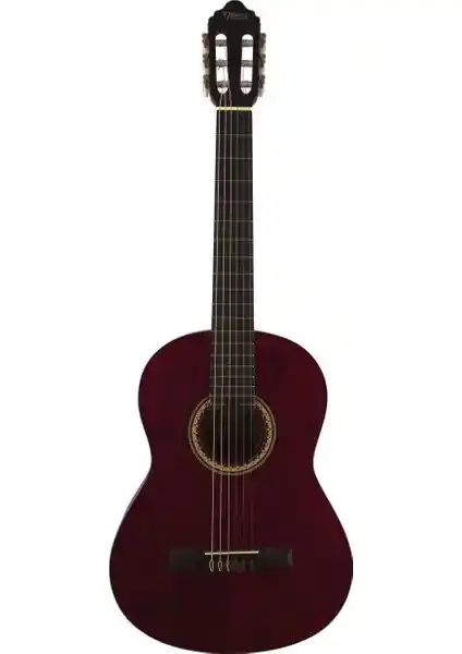 Valencia VC204TWR ve VC404 Klasik Gitar Modellerinin Detaylı Karşılaştırması