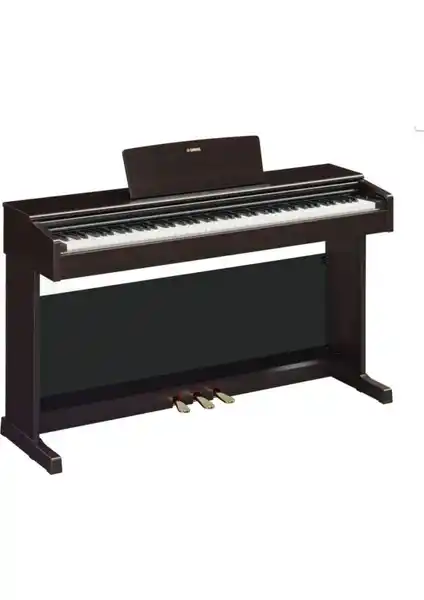 Yamaha YDP145R ve YDP165WH Dijital Piyanoları Karşılaştırması ve Özellikleri